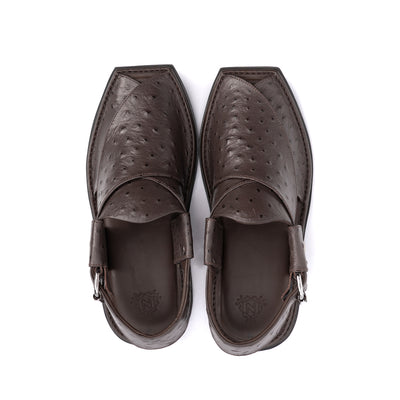 Cocoa Brown Leather Peshawari Sandal - PMC27